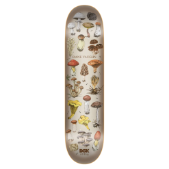 DGK ALL NIGHT VAUGHN DECK - 8.25"